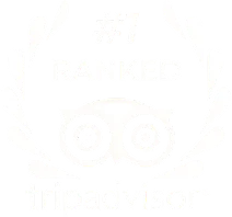 Altezza Travel ranked #1 on Tripadvisor Altezza Travel ranked #1 on Tripadvisor