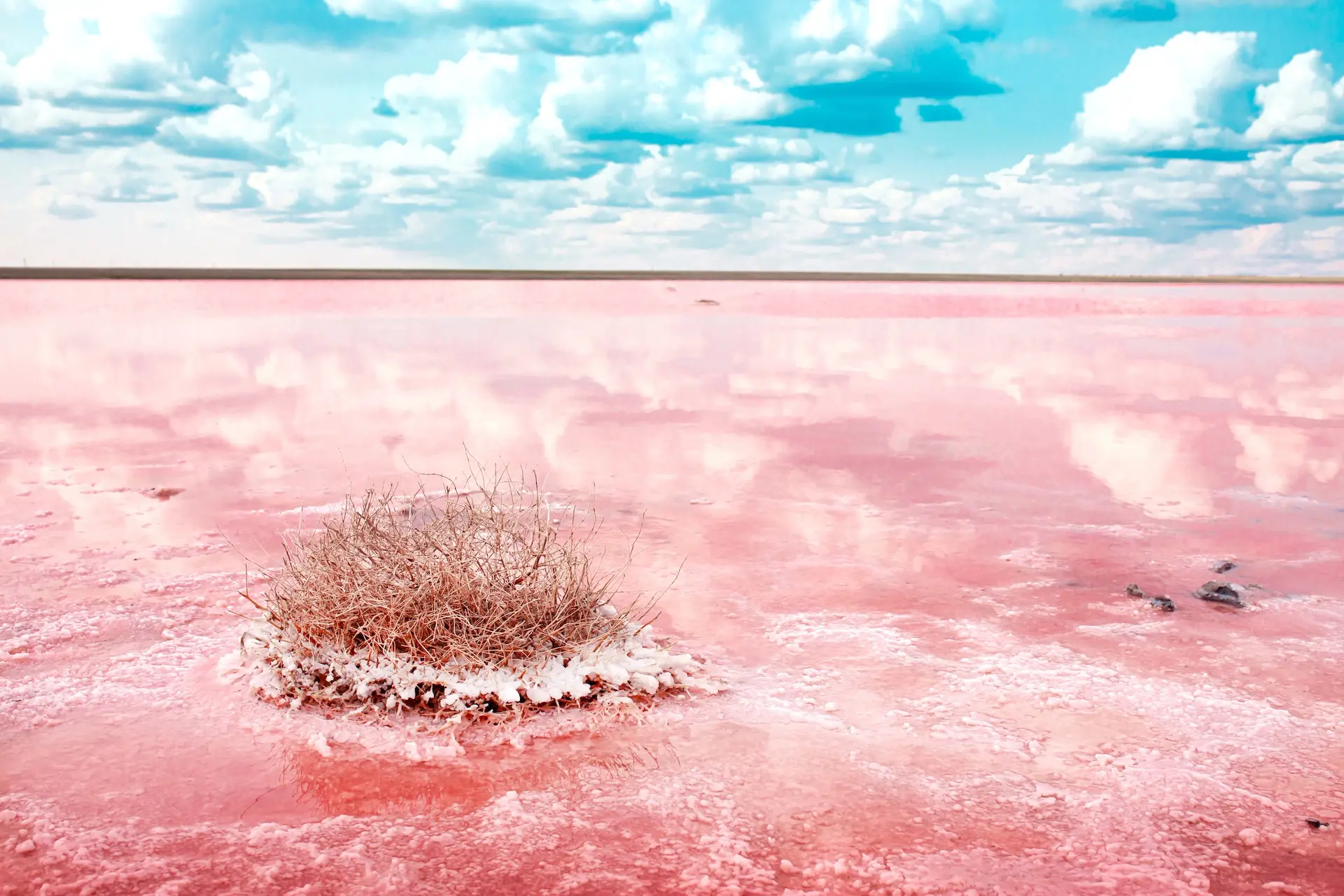 In the dry season, the lake turns red and becomes coated with salt. Photo: Vera Larina / Shutterstock