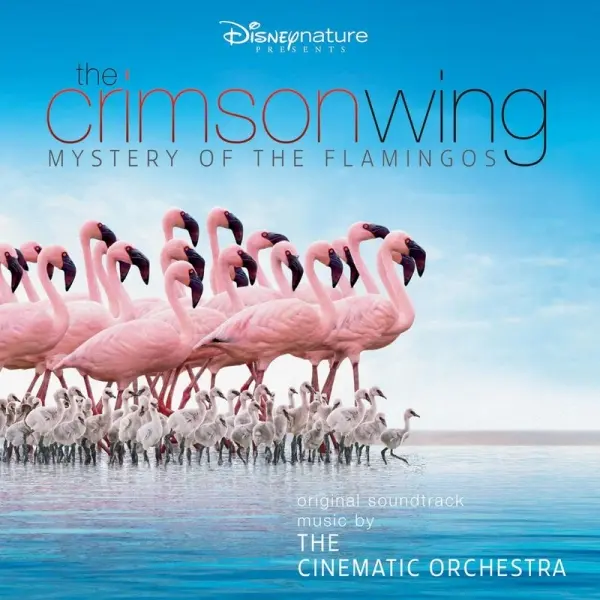 Cover of the documentary “The Crimson Wing: Mystery of the Flamingos”