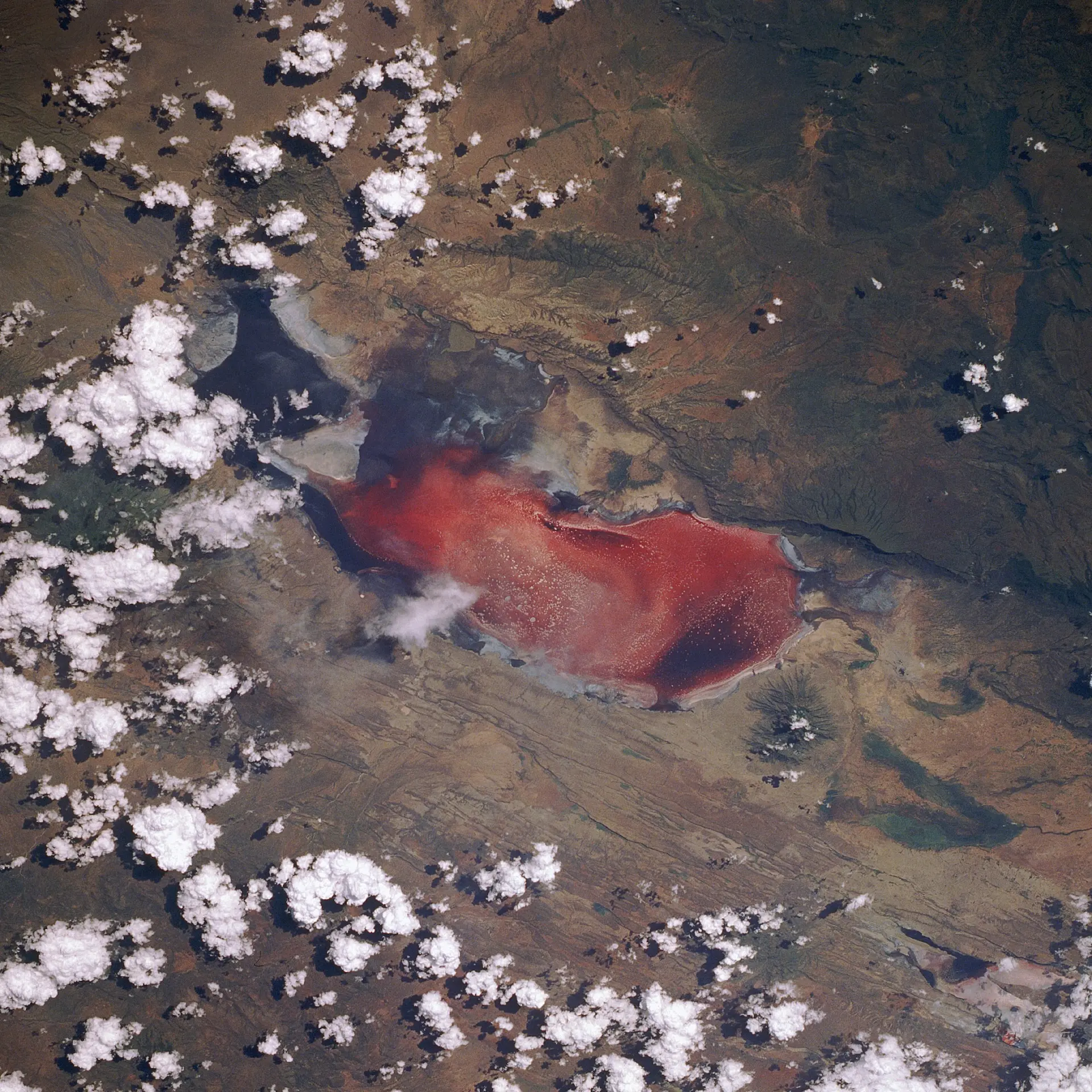 Lake Natron, sometimes called «the deadly red lake,» as seen from the Discovery space shuttle during mission STS-29. Photo: NASA