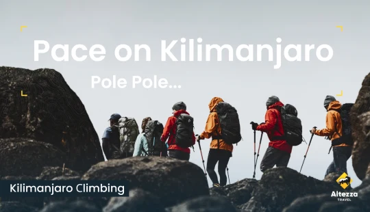 Finding Your Pace on Mt. Kilimanjaro | Altezza Travel