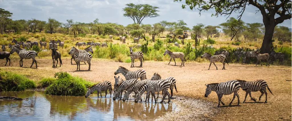 Tarangire National Park