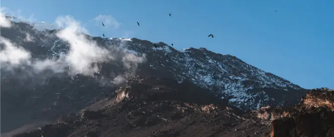 Trekking from Moir Hut to Buffalo Camp