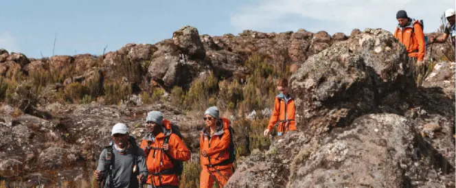 Trekking From Machame Camp To Shira Camp