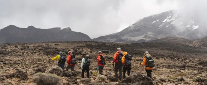 Shira 2 to Moir Hut via Lava Tower Trek