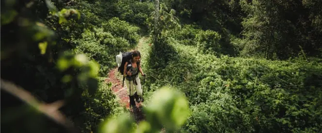 From Momella Gate to Miriakamba Hut