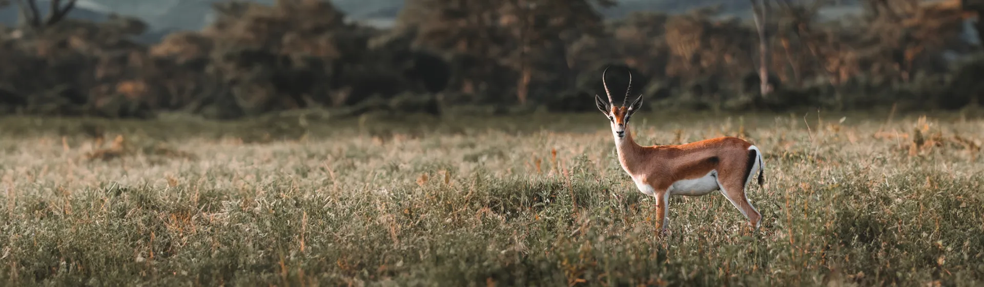 Ndarakwai Ranch Ndarakwai Ranch
