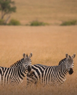 Arusha National Park