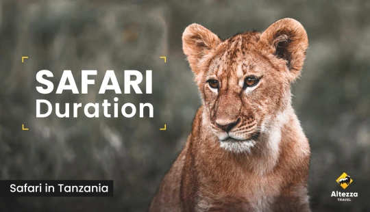 Safari planning: how many days do you need?
