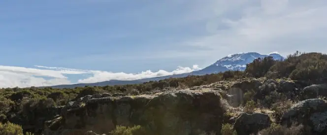 Marangu Route - Day 3 - Trekking from Mandara Hut to Horombo Hut