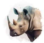 Rhino