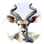 Kudu