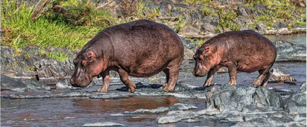 Serengeti National Park