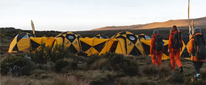 Lemosho Route - Day 3 - Trekking From Shira 1 Camp to Shira 2 Camp