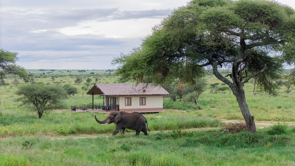 Karibu Serengeti Sametu Camp