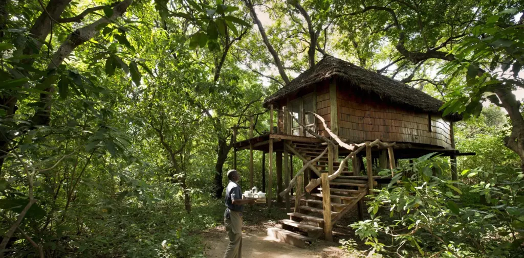 Treehouse Suites 