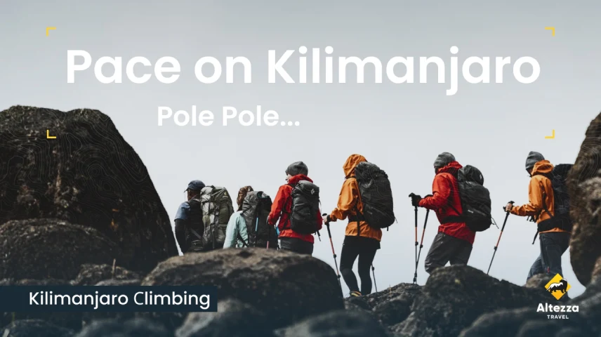 Climbing Kilimanjaro Difficulty: How Hard is it to Climb Kilimanjaro