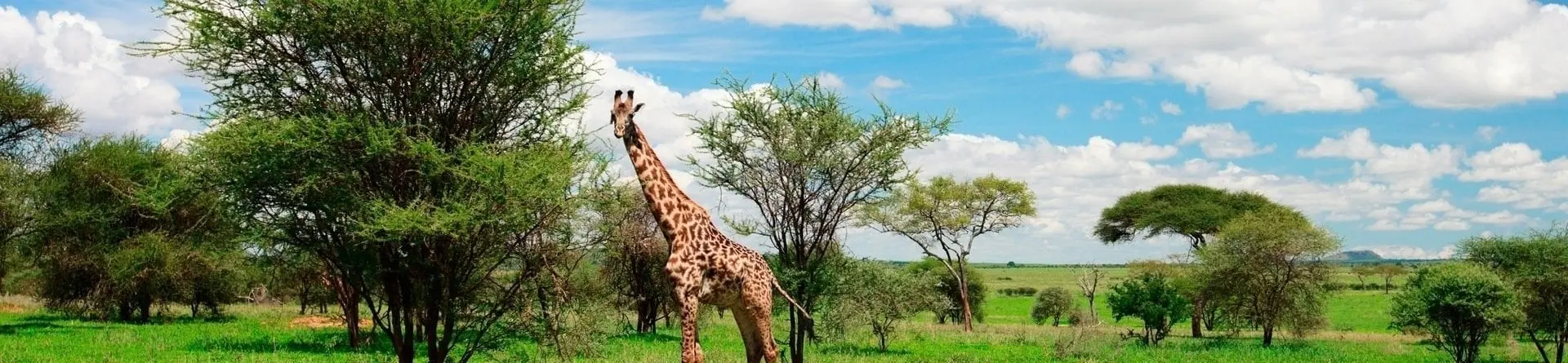 Arusha National Park