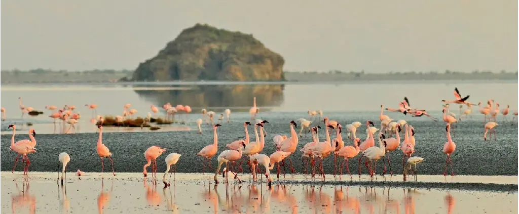 Lake Natron