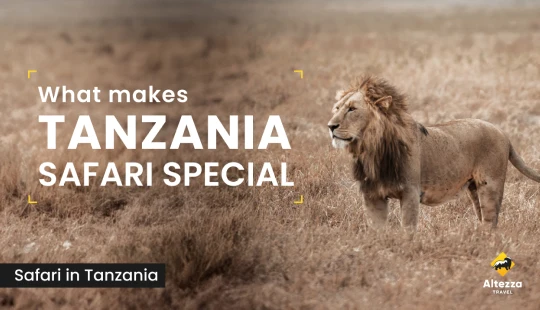 What makes Tanzania safari special