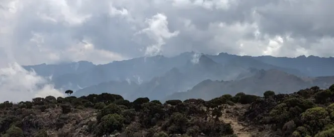 Umbwe Route - Day 3 - Trekking from Umbwe Camp to Barranco Camp