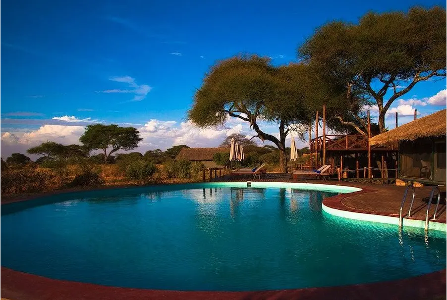  Tarangire Simba Lodge