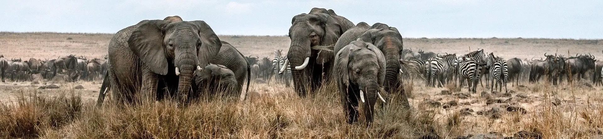 Tarangire National Park