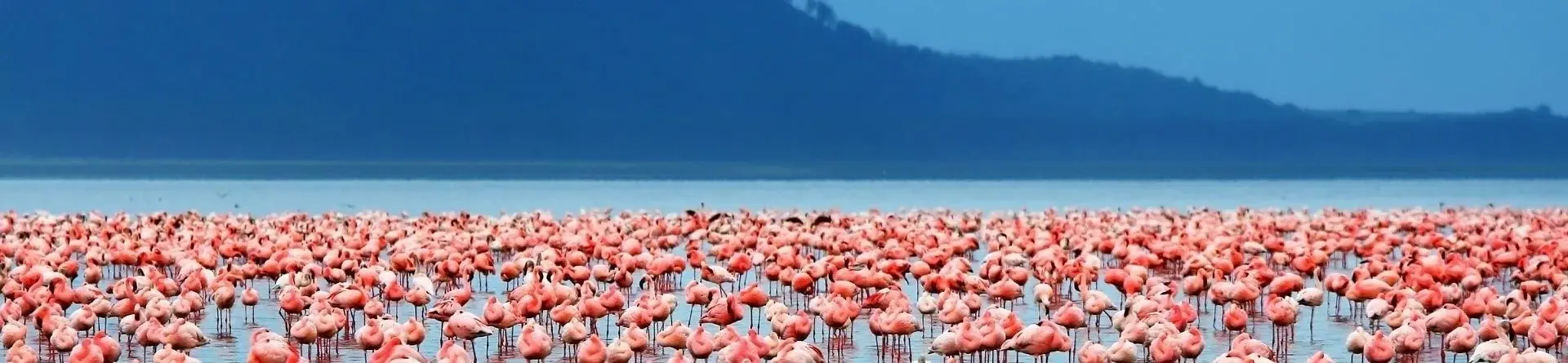 Lake Manyara