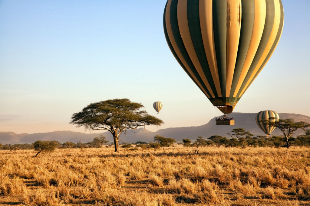 Aerial safari