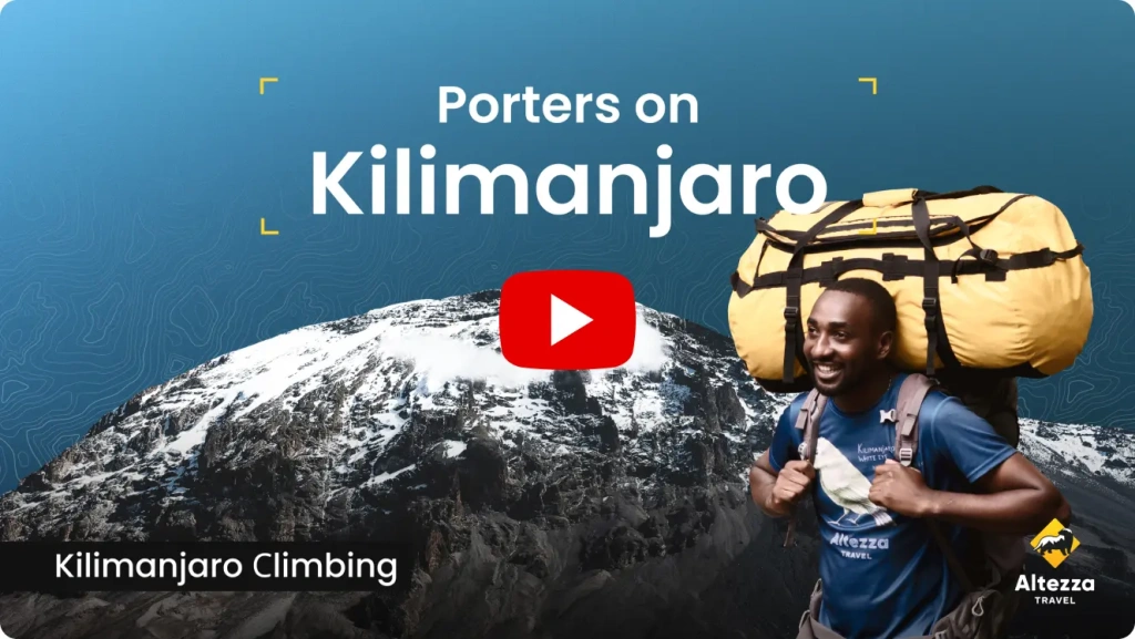 Kilimanjaro hiking companies best sale